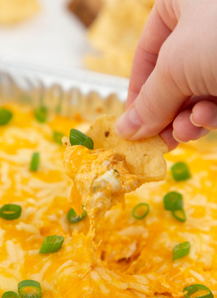 A hand using a corn chip to scoop up buffalo chicken dip with chopped green onions.